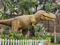 Dino Park Travel Forum Reviews