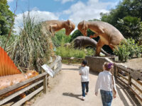 Dino Trail Travel Forum Reviews
