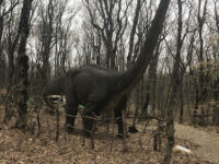 Dinopark Reks Travel Forum Reviews