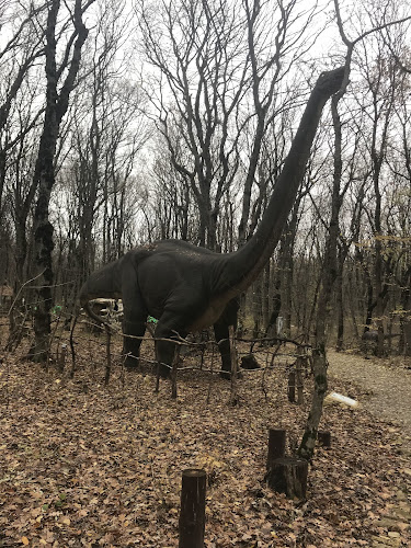 Dinopark Reks