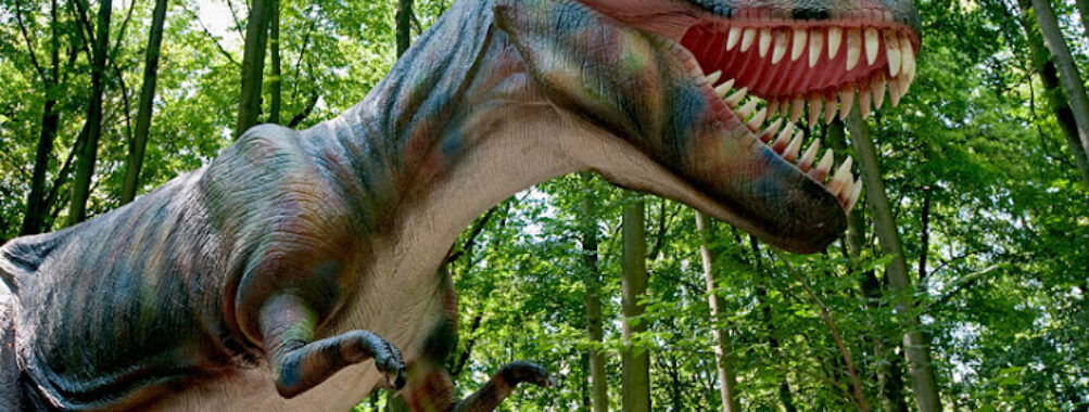 Dinosaur Park - Dino Park Malbork Travel Forum Reviews
