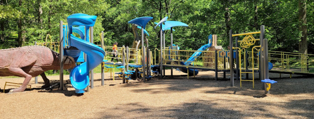Dinosaur Playground Washington Park Travel Forum Reviews