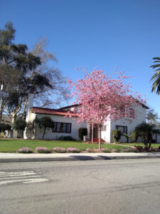 Dinsmoor Heritage House and Cultural Museum