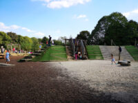 Dinton Pastures Country Park Travel Forum Reviews