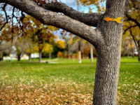 Disc on 6th at Midvale City Park Travel Forum Reviews