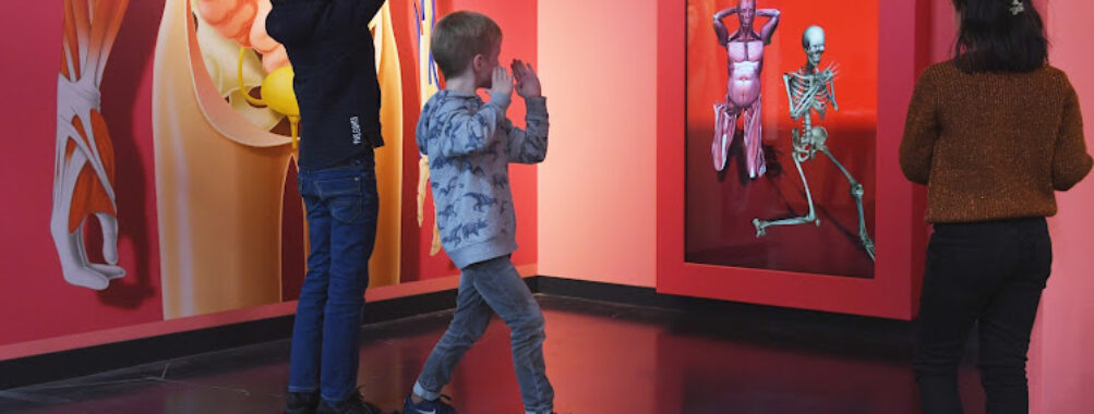Discovery Museum Travel Forum Reviews