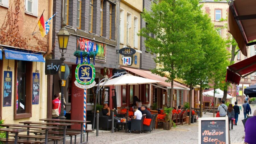 Diverse Dining: From Street Food to Fine Dining