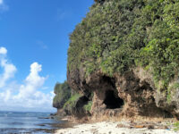 Divinubo Island Travel Forum Reviews