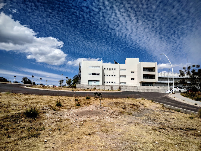 Division of Life Sciences (DICIVA) UGTO