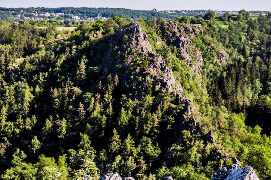Divoká Šárka
