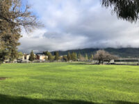 Dixon Landing Park Travel Forum Reviews
