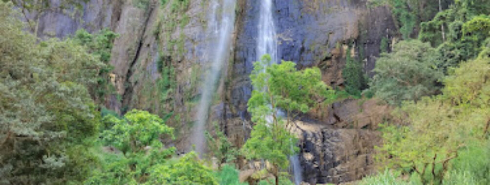 Diyaluma Falls Travel Forum Reviews