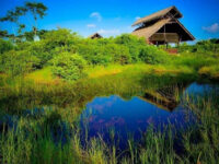 Diyasaru Park Travel Forum Reviews