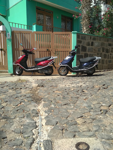 Djambai Tours