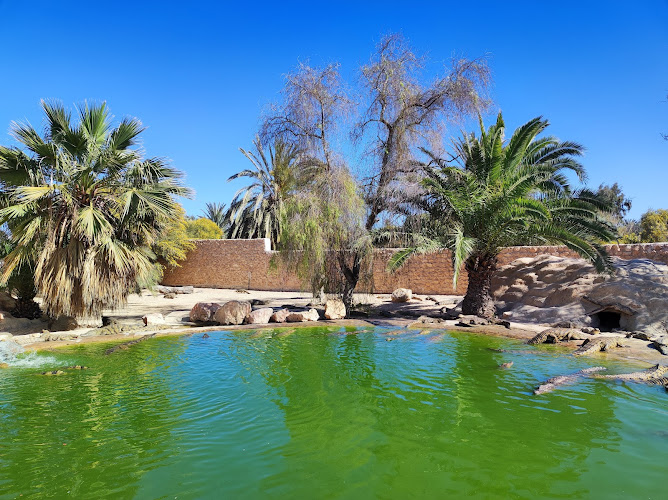 Djerba Crocodile Farm