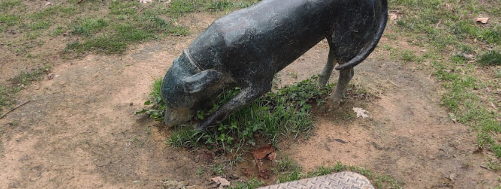 Dog Drinking From Hose statue Travel Forum Reviews
