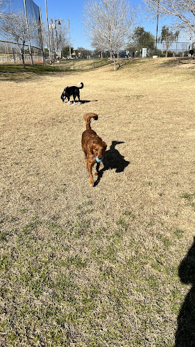 Dog Park
