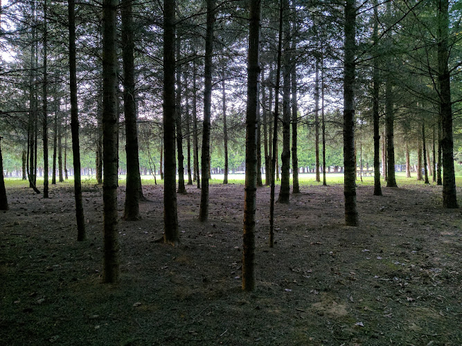 Doleshel Park