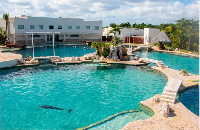 Dolphin Connection Mx Cancun