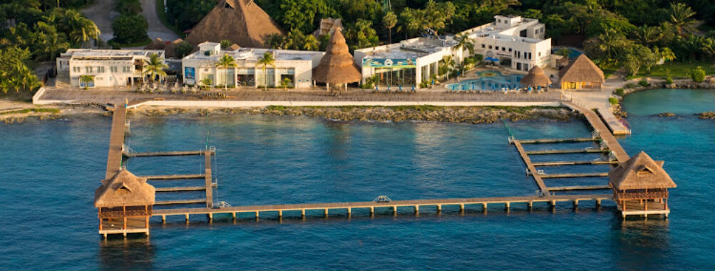 Dolphin Discovery Cozumel Travel Forum Reviews
