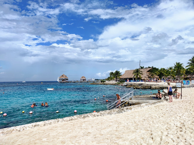 Dolphin Discovery Cozumel