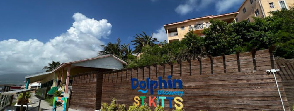 Dolphin Discovery St Kitts Travel Forum Reviews