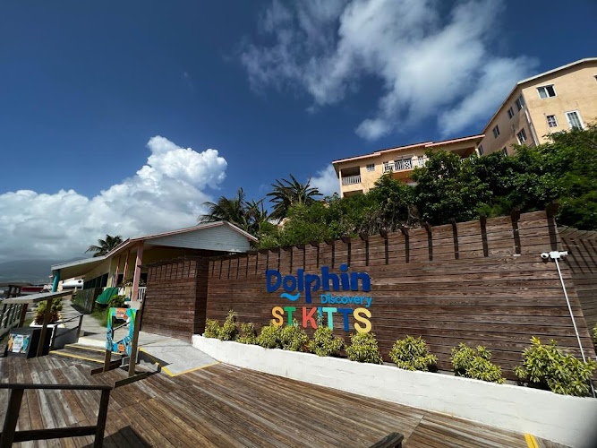 Dolphin Discovery St Kitts