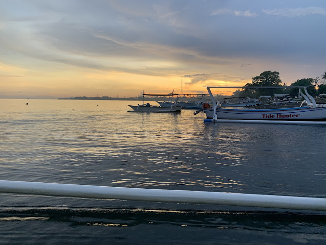 Dolphin Lovina Tour