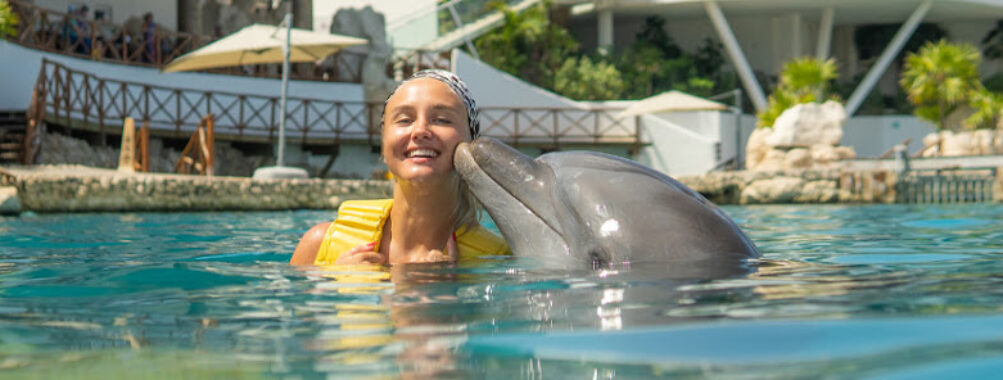 Dolphinaris Cozumel Travel Forum Reviews