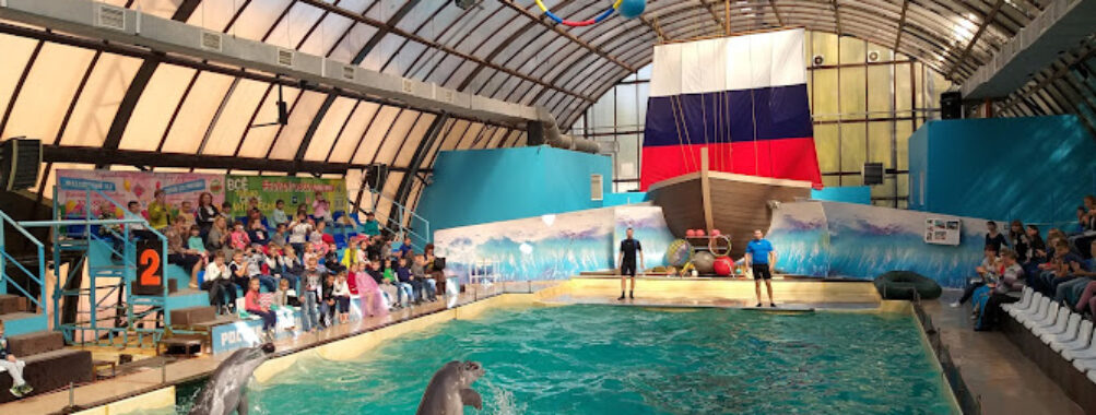 Dolphinarium Travel Forum Reviews