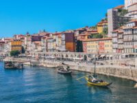 Dolphins and whales watching experience in Portugal Review