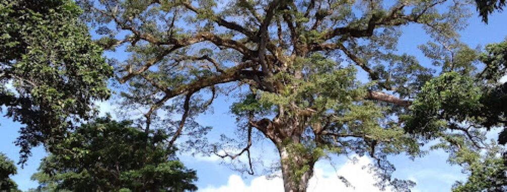 Domaine Pascaud Travel Forum Reviews