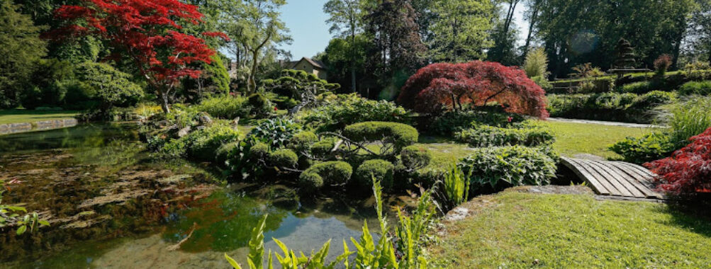 Domaine de Courances Travel Forum Reviews