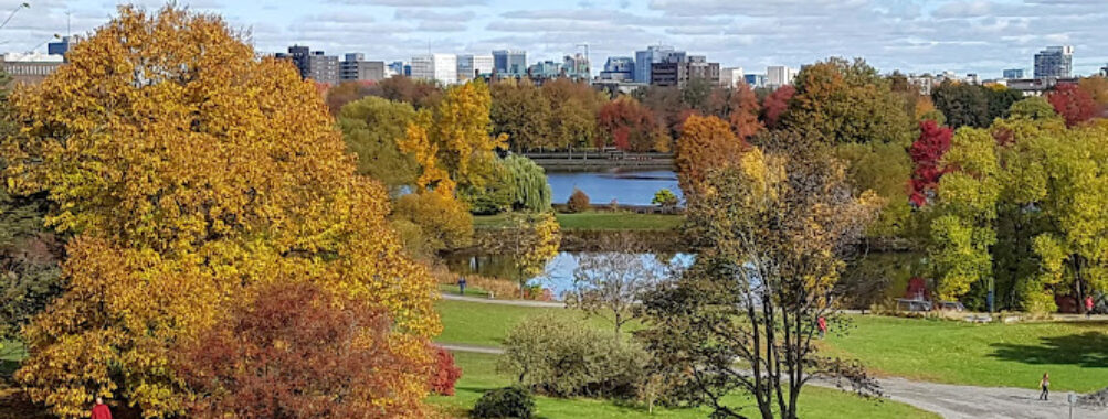 Dominion Arboretum Travel Forum Reviews