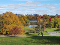 Dominion Arboretum Travel Forum Reviews