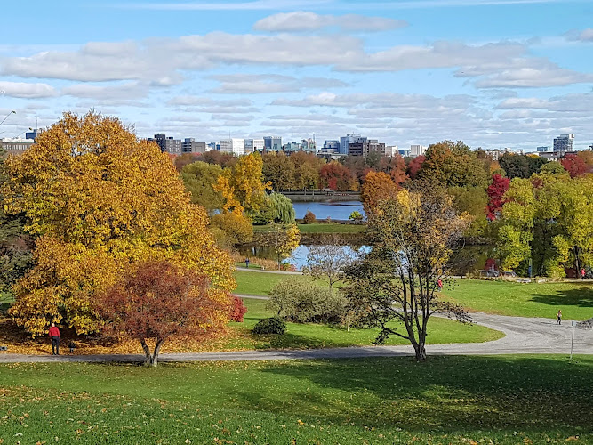 Dominion Arboretum