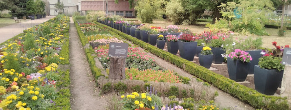 Dominique Alexandre Godron Garden Travel Forum Reviews
