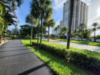 Don Soffer Exercise Trail Travel Forum Reviews
