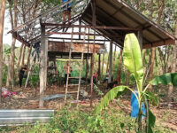 Don Tan District Travel Forum Reviews