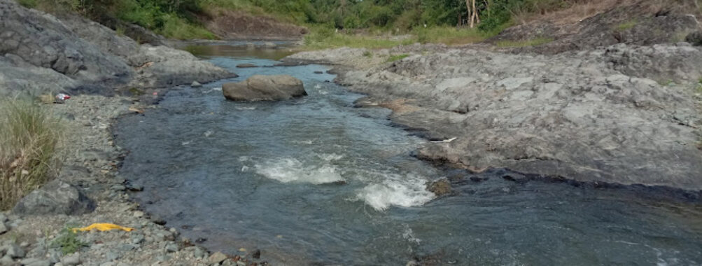 Doña Josefa Bridge and River Park Travel Forum Reviews