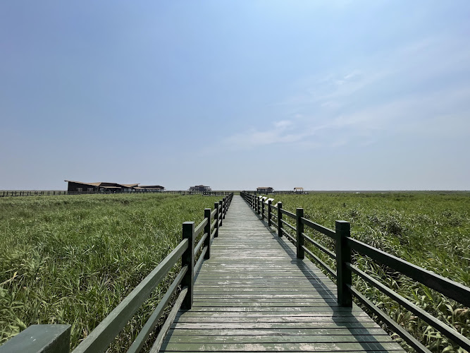 Dongtan Wetland Park （Southwest Gate）