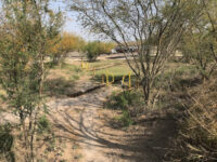 Doolittle Nature Park Travel Forum Reviews