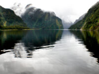 Doubtful Sound cruise from Queenstown and Te Anau Review