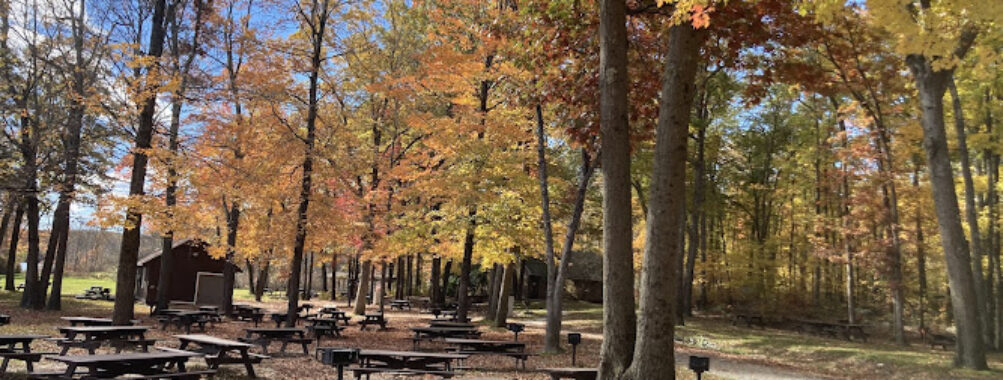Douglas State Forest Travel Forum Reviews