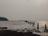 Down Beach Travel Forum Reviews