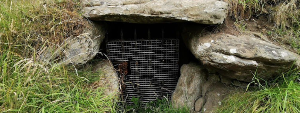 Dowth Passage Tomb Travel Forum Reviews