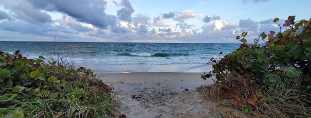 Dr. Von D. Mizell-Eula Johnson State Park Travel Forum Reviews