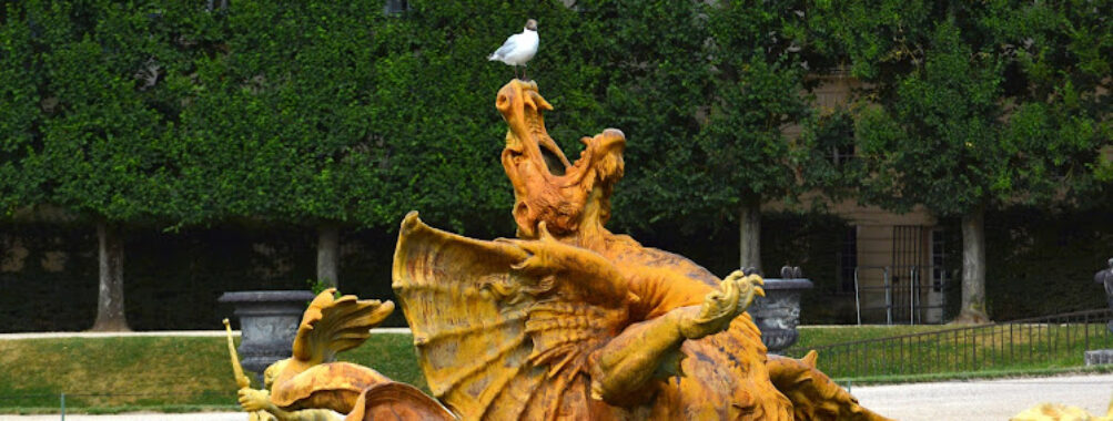 Dragon Pool Travel Forum Reviews