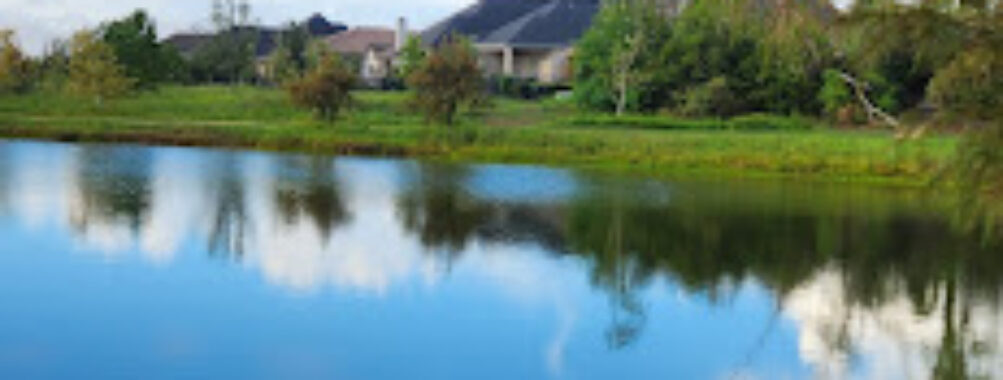Dragonfly Park Bridgeland- Residents only Travel Forum Reviews