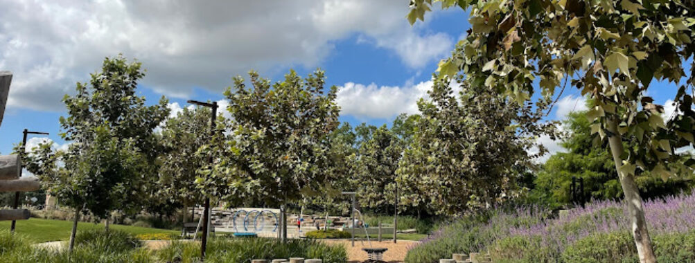 Dragonfly Park - Gym Travel Forum Reviews